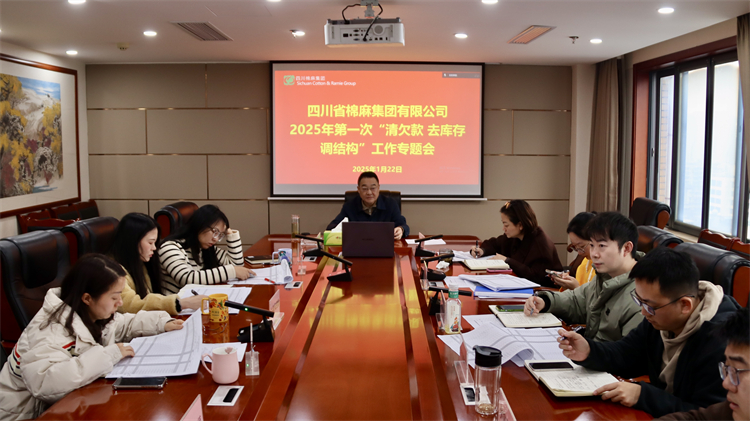 集團公司召開2025年第一次“清欠款、去庫存、調(diào)結(jié)構(gòu)”工作專題會