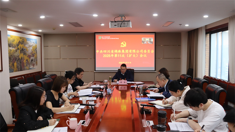集團(tuán)公司召開2025年第11次黨委（擴(kuò)大）會(huì)議