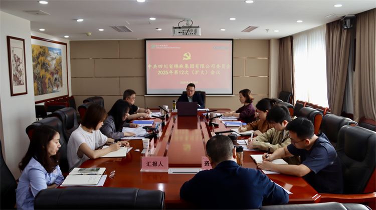 集團(tuán)公司召開2025年第12次黨委（擴(kuò)大）會(huì)議