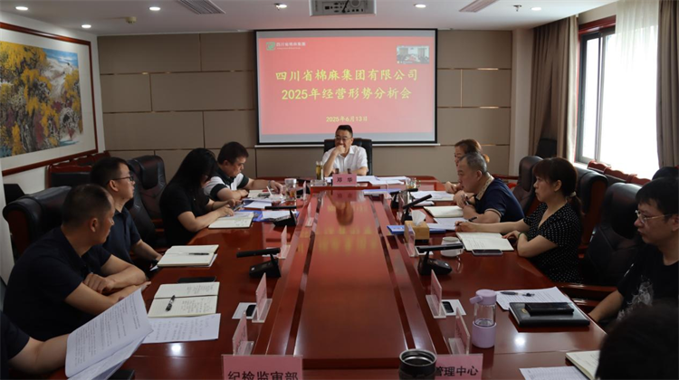 集團公司召開2025年經(jīng)營形勢分析會