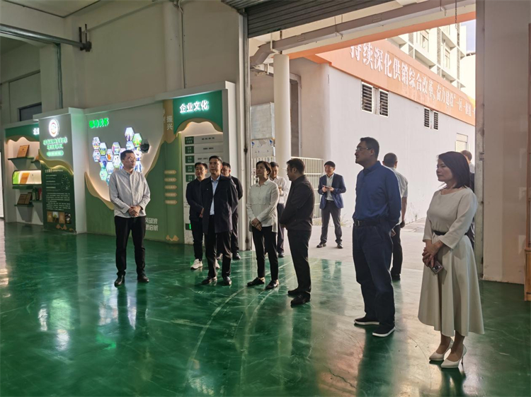 1730097826232173.jpg 圖片5.jpg